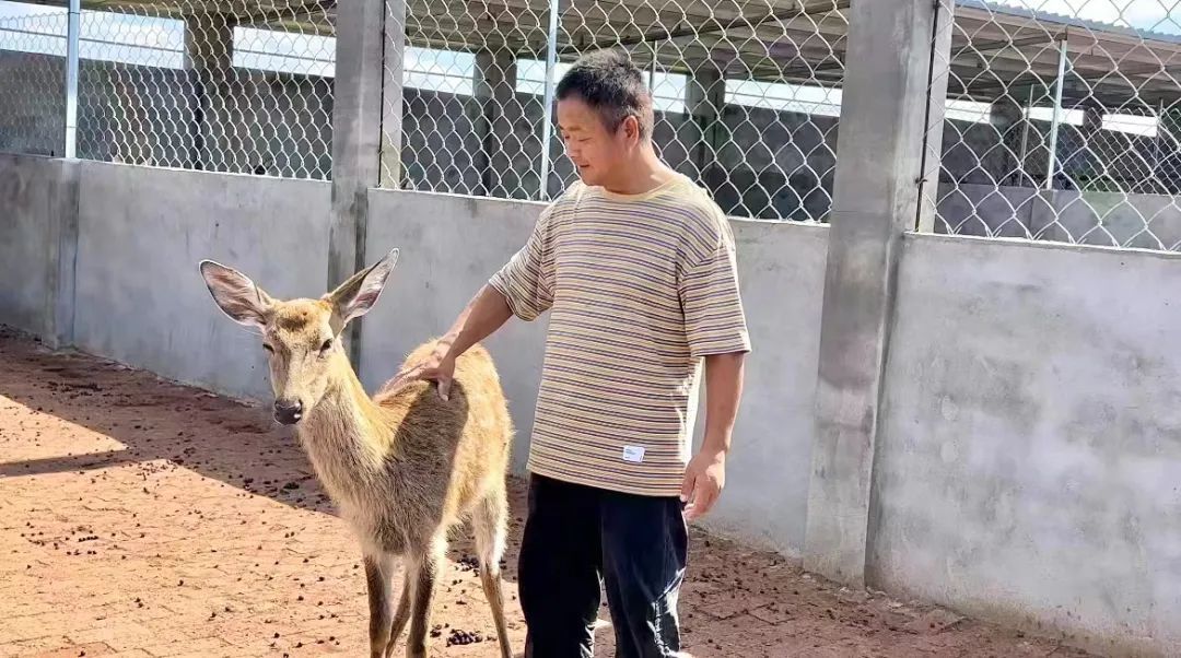 手机d捕鱼游戏